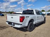 New 2025 Ford F150 XLT w/ Equipment Group 302A MID image 5