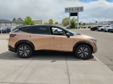 New 2025 Nissan Ariya Platinum image 4