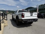 New 2025 Ford Ranger Raptor image 4