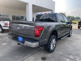 New 2025 Ford F150 XLT w/ Equipment Group 302A MID image 3