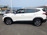 Used 2021 Kia Seltos S image 6