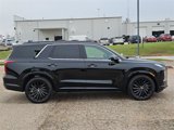 New 2025 Hyundai Palisade Calligraphy image 4