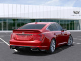 New 2025 Cadillac CT5 Premium Luxury w/ Technology Package image 4