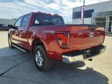 New 2025 Ford F150 XLT image 3