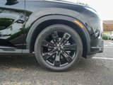 Used 2025 Hyundai Palisade XRT image 5