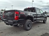 New 2025 Ford F250 Platinum image 3