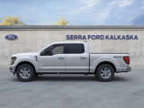 New 2025 Ford F150 XLT w/ Equipment Group 301A Standard image 3