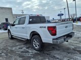 New 2025 Ford F150 XLT w/ Equipment Group 302A MID image 3