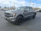 New 2025 Ford F150 Platinum image 3