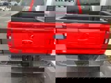 Certified 2021 Ford F150 XLT w/ Equipment Group 302A High image 5