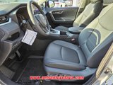 New 2025 Toyota RAV4 XLE Premium w/ Weather Package image 5