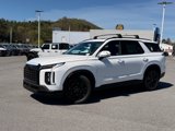 New 2025 Hyundai Palisade XRT image 2