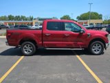 Used 2025 Ford F150 XLT w/ Equipment Group 302A MID image 5