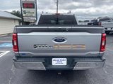 Used 2021 Ford F150 XLT w/ Equipment Group 302A High image 4