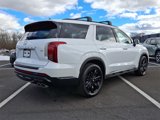 New 2025 Hyundai Palisade XRT image 4