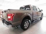 Certified 2019 Ford F150 XLT w/ Equipment Group 302A Luxury image 4