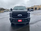 New 2025 Ford F250 Platinum image 2