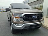Certified 2021 Ford F150 XLT w/ Equipment Group 301A Mid image 3