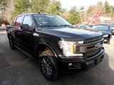 Used 2019 Ford F150 XLT w/ Equipment Group 302A Luxury image 4