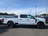 New 2025 Ford F250 XL w/ STX Appearance Package image 4