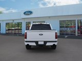 New 2025 Ford F150 XLT w/ Equipment Group 303A High image 5