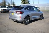 Used 2024 Ford Escape ST-Line w/ Cold Weather Package image 4