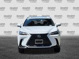 New 2026 Lexus NX 350 AWD w/ Premium Package image 3