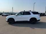 New 2025 Hyundai Palisade XRT image 5