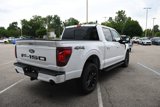 New 2025 Ford F150 XLT w/ Equipment Group 303A High image 6