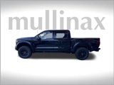 New 2025 Ford F150 Raptor image 2