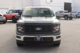 New 2025 Ford F150 XL w/ Equipment Group 103A High image 2