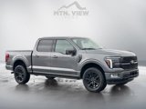 New 2025 Ford F150 Platinum image 2