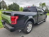 Used 2015 Ford F150 Platinum w/ Equipment Group 701A Luxury image 6