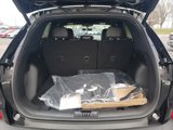 New 2025 Ford Escape ST-Line Select w/ Tech Pack #2 image 5