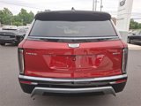 New 2026 Cadillac Vistiq Sport image 5