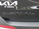 New 2025 Kia Carnival SX Prestige image 5