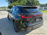 Used 2025 Lexus NX 350 AWD w/ Accessory Package (2T) image 5