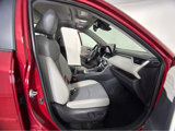 Used 2025 Toyota RAV4 Limited image 5