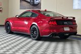 Used 2020 Ford Mustang GT w/ GT Performance Package image 6