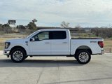 New 2025 Ford F150 XLT w/ Equipment Group 302A MID image 4