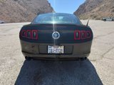 Used 2014 Ford Mustang Coupe w/ FP6 Appearance Package image 4