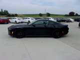Used 2024 Ford Mustang Coupe image 5