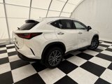 Used 2025 Lexus NX 450h+ AWD w/ Luxury Package image 6