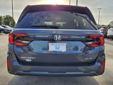 New 2025 Honda Odyssey Elite image 5