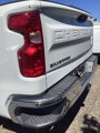 Used 2024 Chevrolet Silverado 1500 W/T w/ WT Fleet Convenience Package image 4