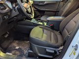 New 2025 Ford Escape Active w/ Tech Pack #1 image 6