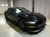 Used 2020 Ford Mustang Premium image 4