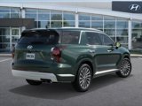 New 2025 Hyundai Palisade Calligraphy image 4