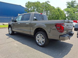 New 2025 Ford F150 Platinum image 5