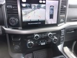 Used 2024 Ford F150 XLT w/ Equipment Group 303A High image 5